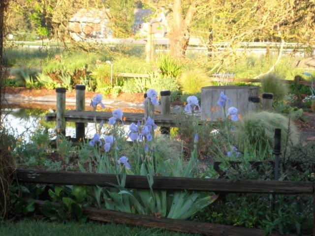 Pearlessence Vineyard Inn Sebastopol Exterior foto