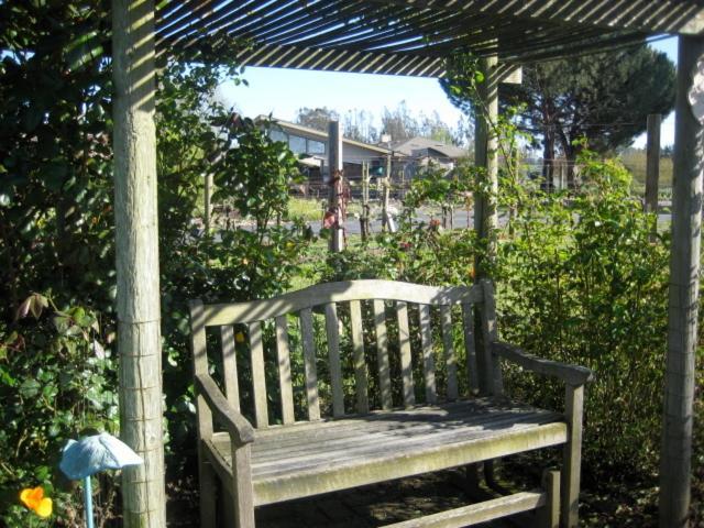 Pearlessence Vineyard Inn Sebastopol Exterior foto